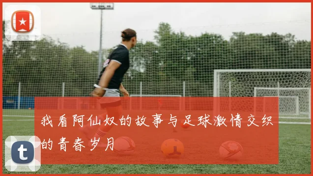 我看阿仙奴的故事与足球激情交织的青春岁月